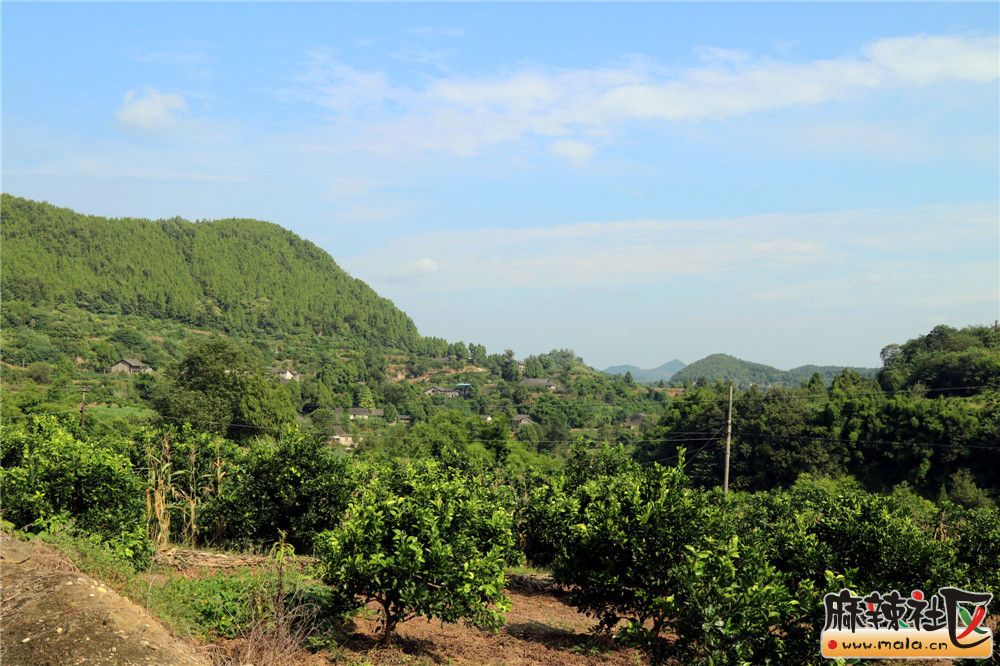 紫岩纪公庙村,纪信出生地,留下好多传奇故