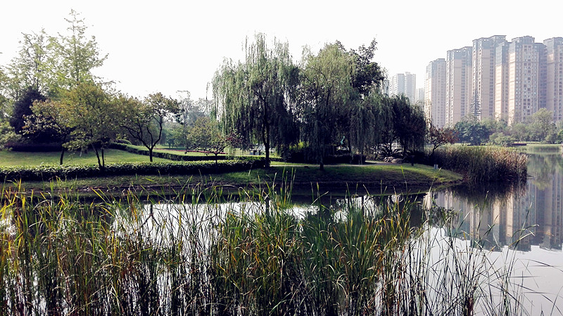 休闲娱乐秀丽的高新区大源中央公园