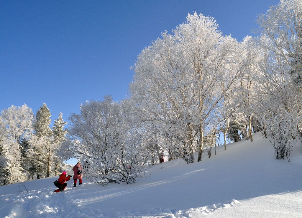 冬季相约雪谷穿越雪乡,过一个万里雪飘的新年 冬季相约雪谷穿越雪乡,过一个万里雪飘的新年