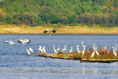 内江第一个国家级水利风景区……位于内江市隆昌县的古宇湖,已有多个