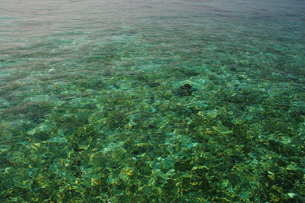 马尔代夫浅海海底的自然风光