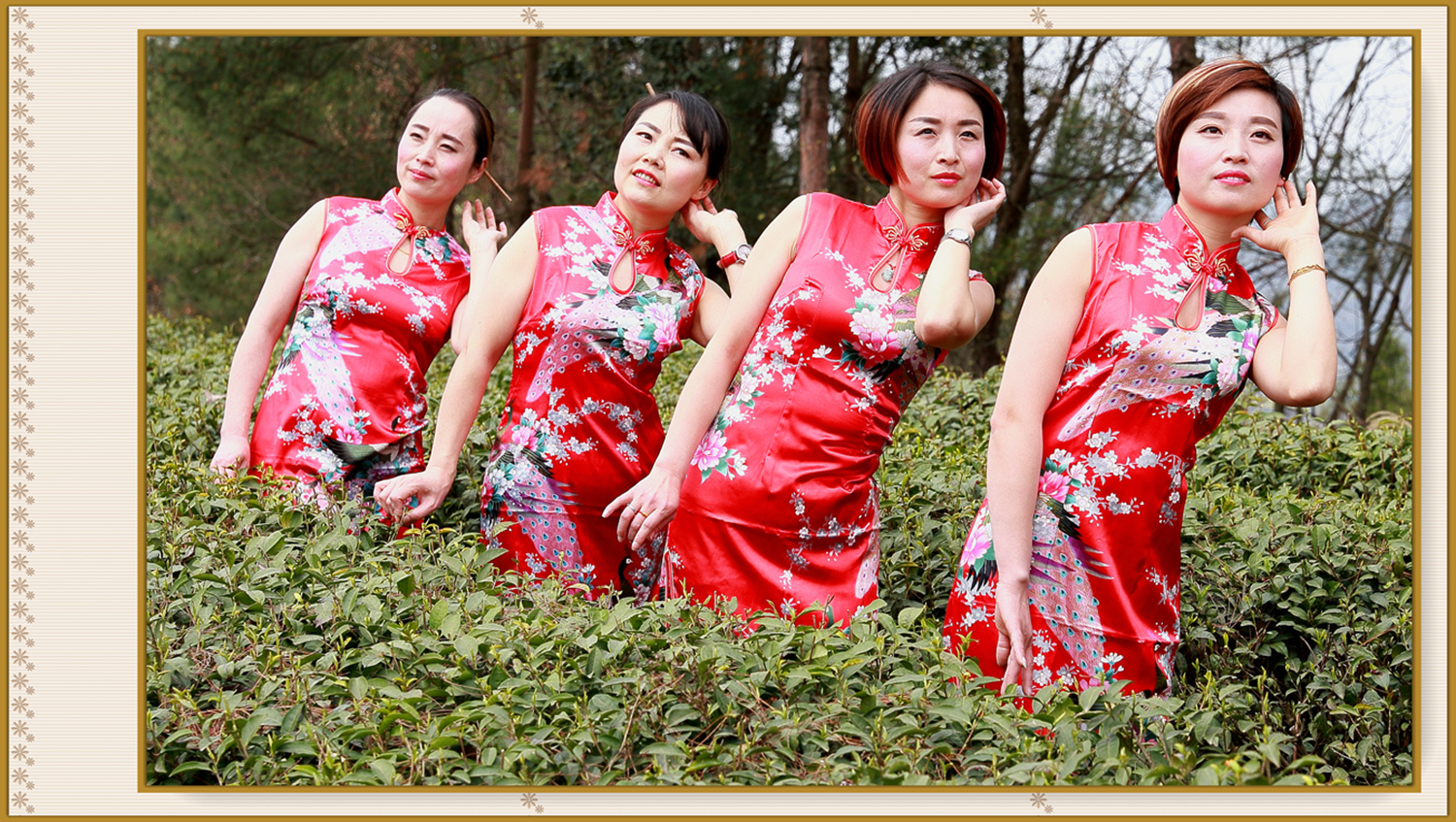 【巴中 通江 茶山美女旗袍秀】麻辣社区巴中论坛 恩阳