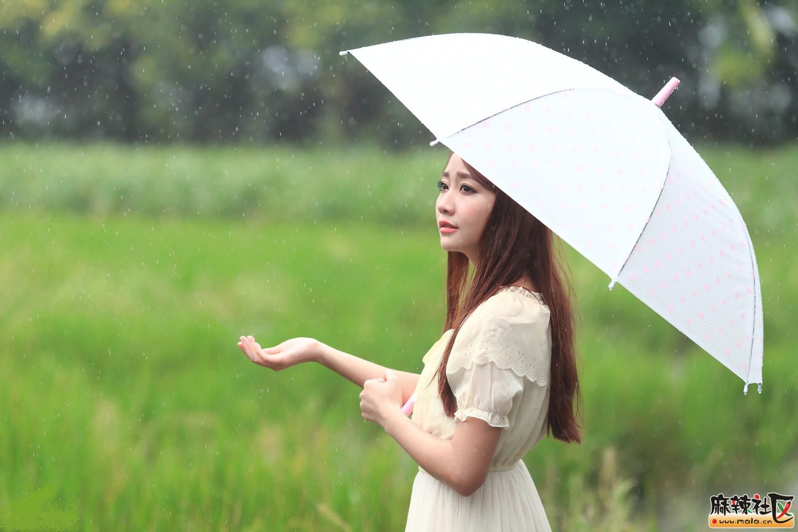 生活如雨,有伞就好-文学沙龙-麻辣社区 四川第