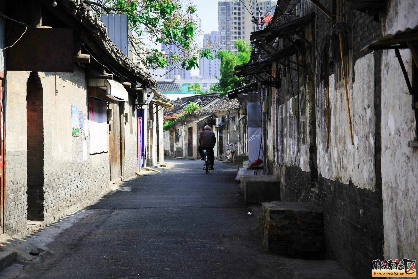 黄昏迟暮,风清月朗-文学沙龙-麻辣社区 四川第