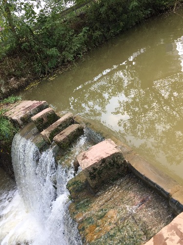 邻水九龙补巴桥-群众呼声-麻辣社区 四川第一网