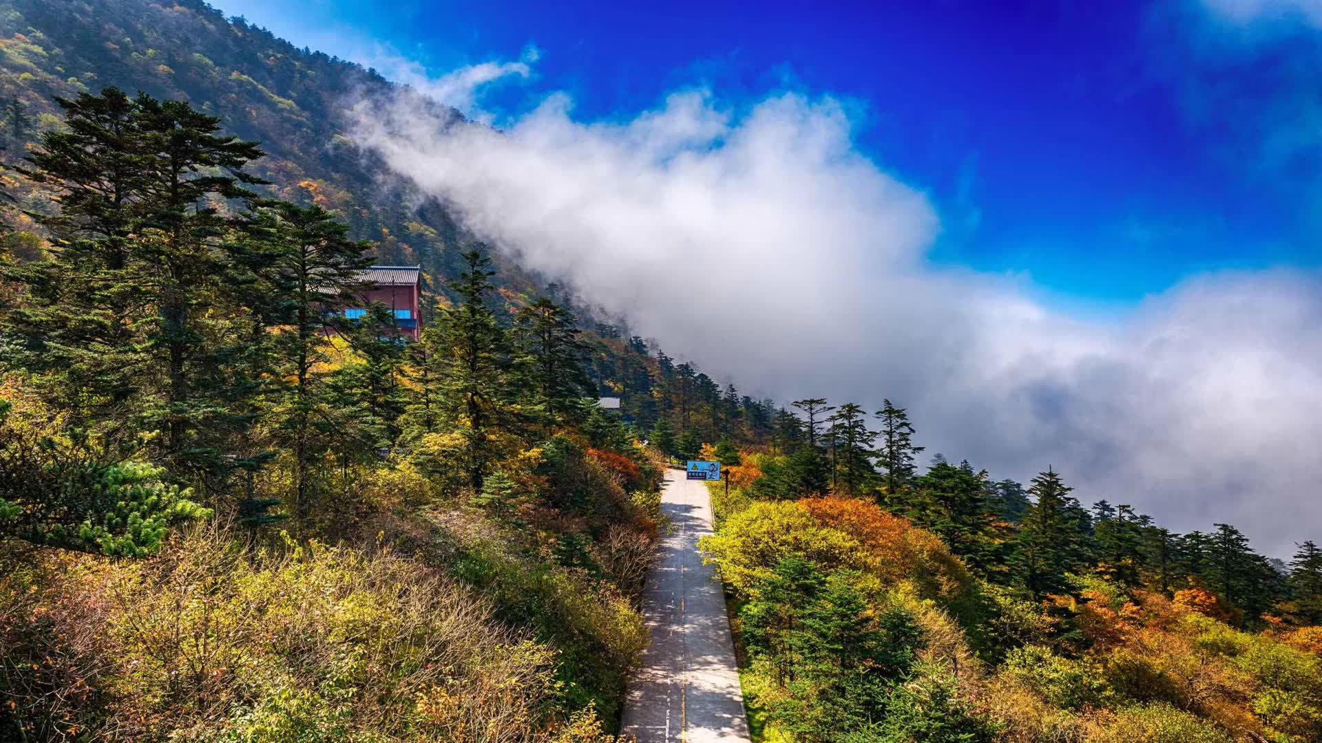 岁月沉浮,沉淀出雅茶的醇香