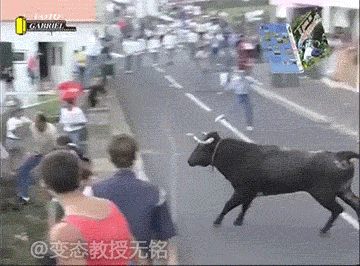 你龟儿换个马甲还是乌龟,你以为我就不认识你了!