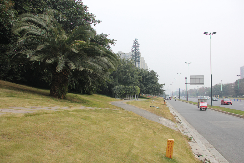 【美丽四川】系列图片之十九:成都驿都大道风景