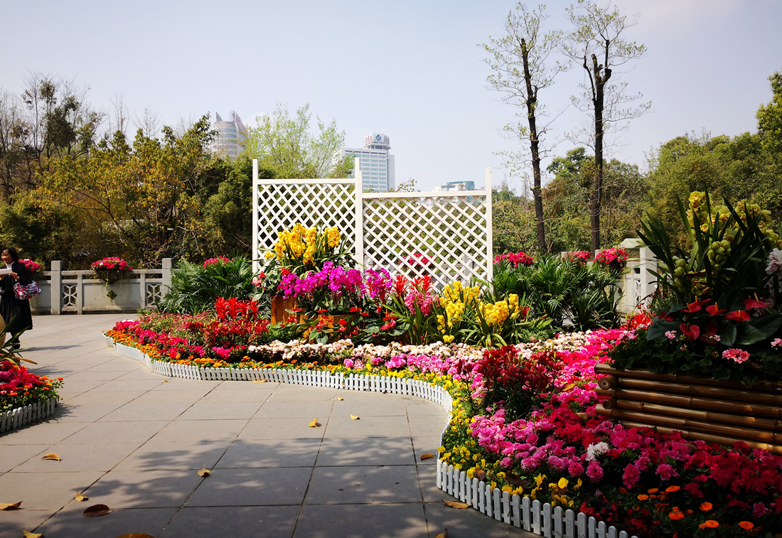 成都市第五十四届花会