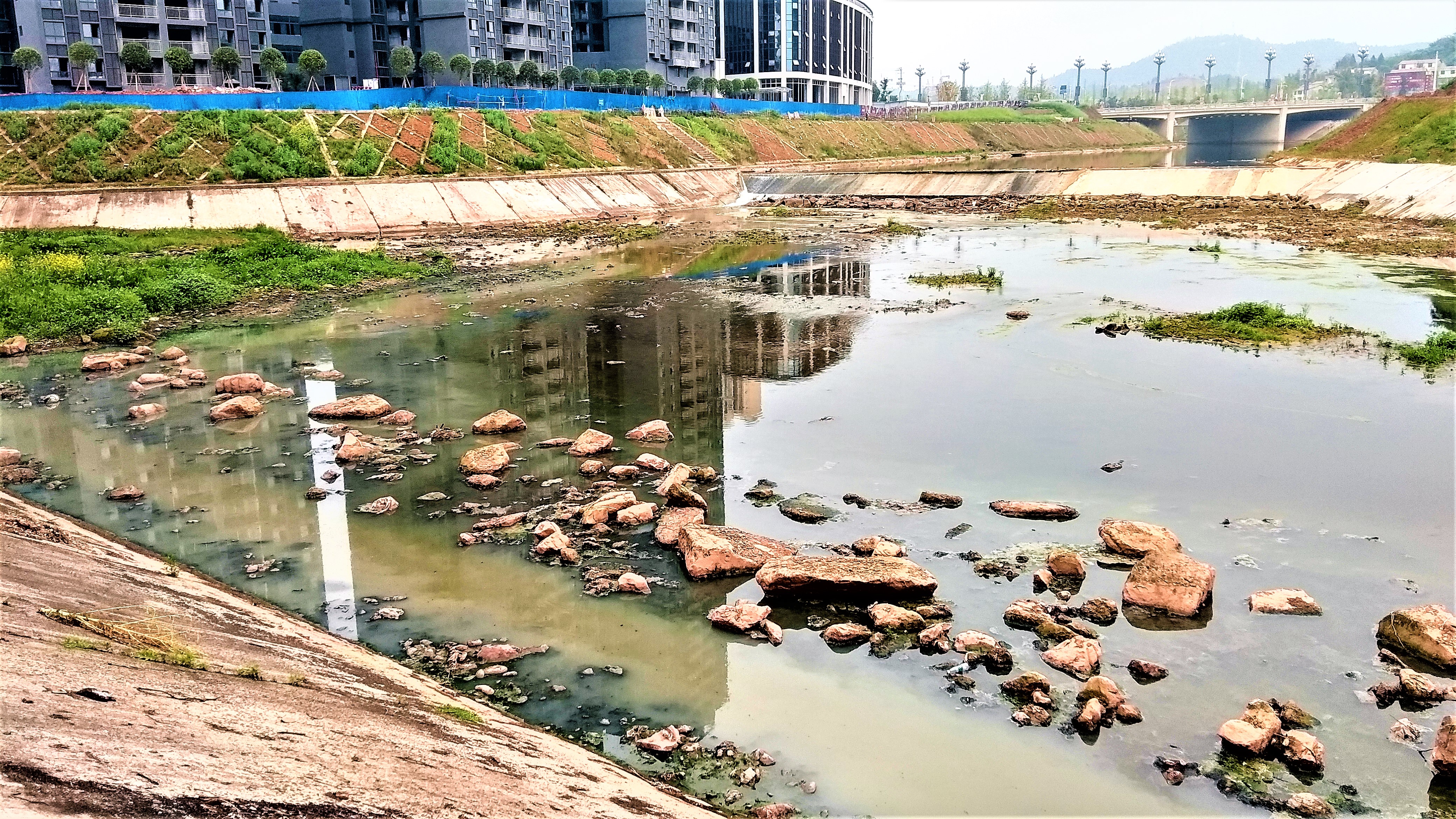 【环保实地调查】之一—相如镇清溪河城市污水环保治理任重而道远