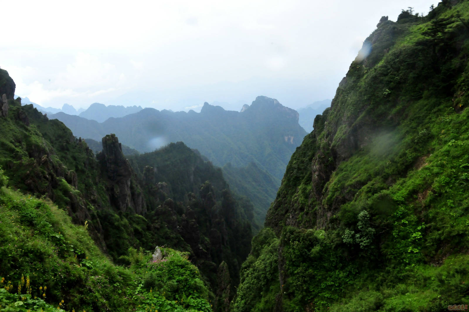 天下美景(四)湖北 神农架