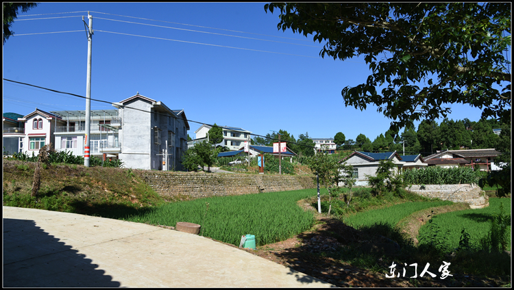 苍溪五龙三会村村乡美景图