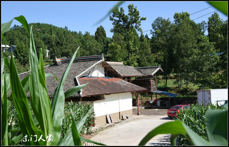 苍溪五龙三会村村乡美景图