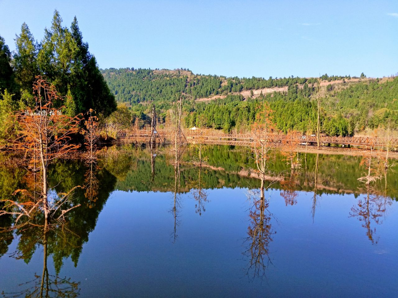 冬日暖阳营山清水湖湿地公园