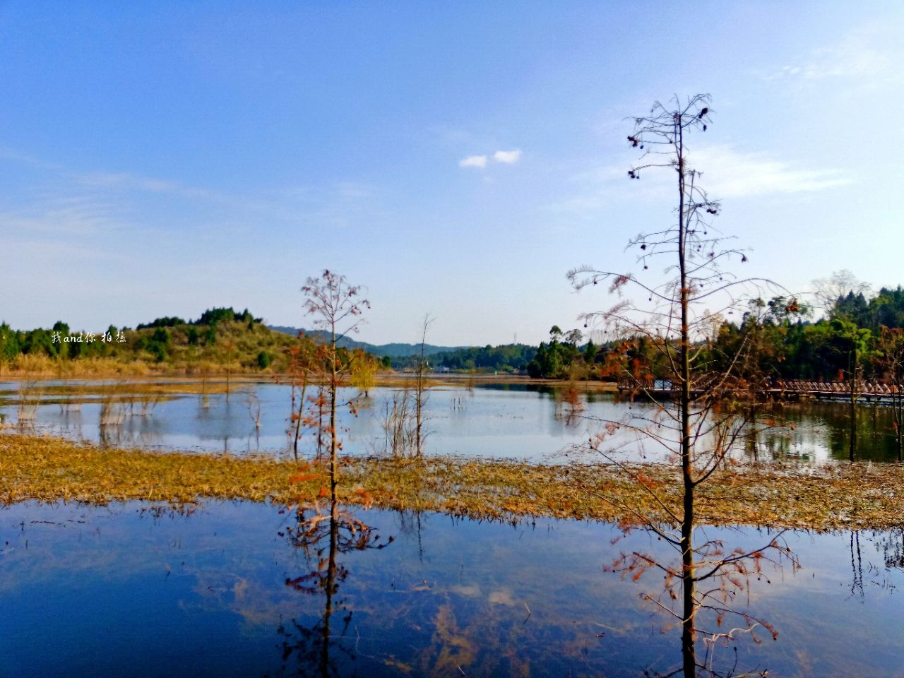 冬日暖阳·营山清水湖湿地公园