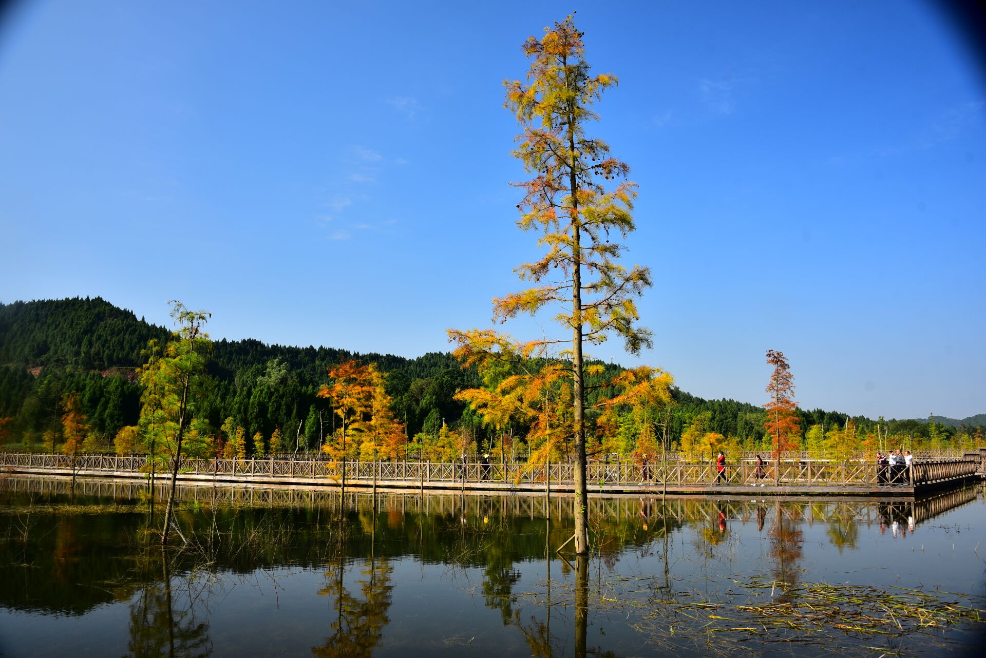 营山清水湖湿地公园秋韵