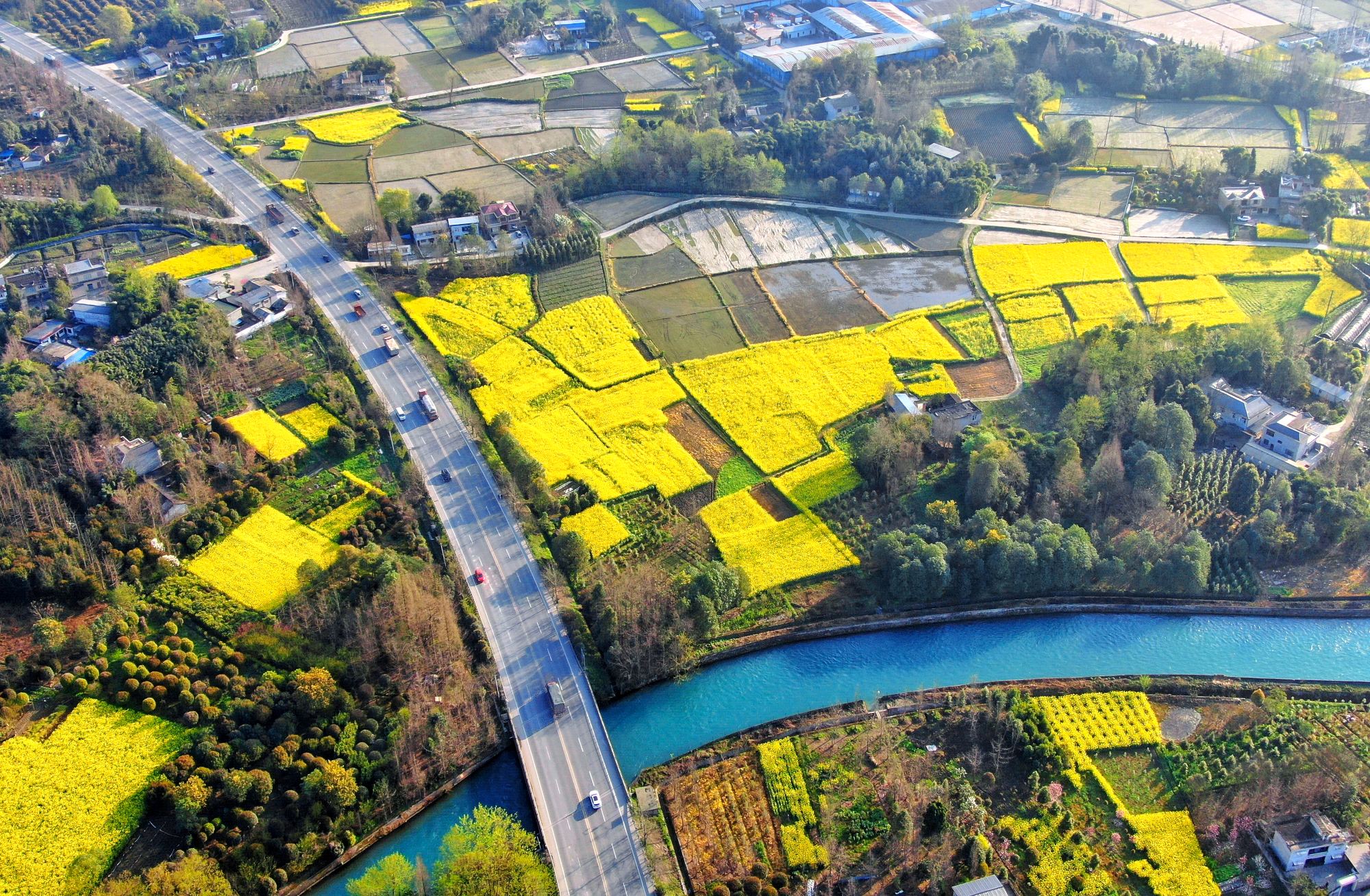 美了美了,阳春三月都江堰城市田园风光【已上麻辣社区