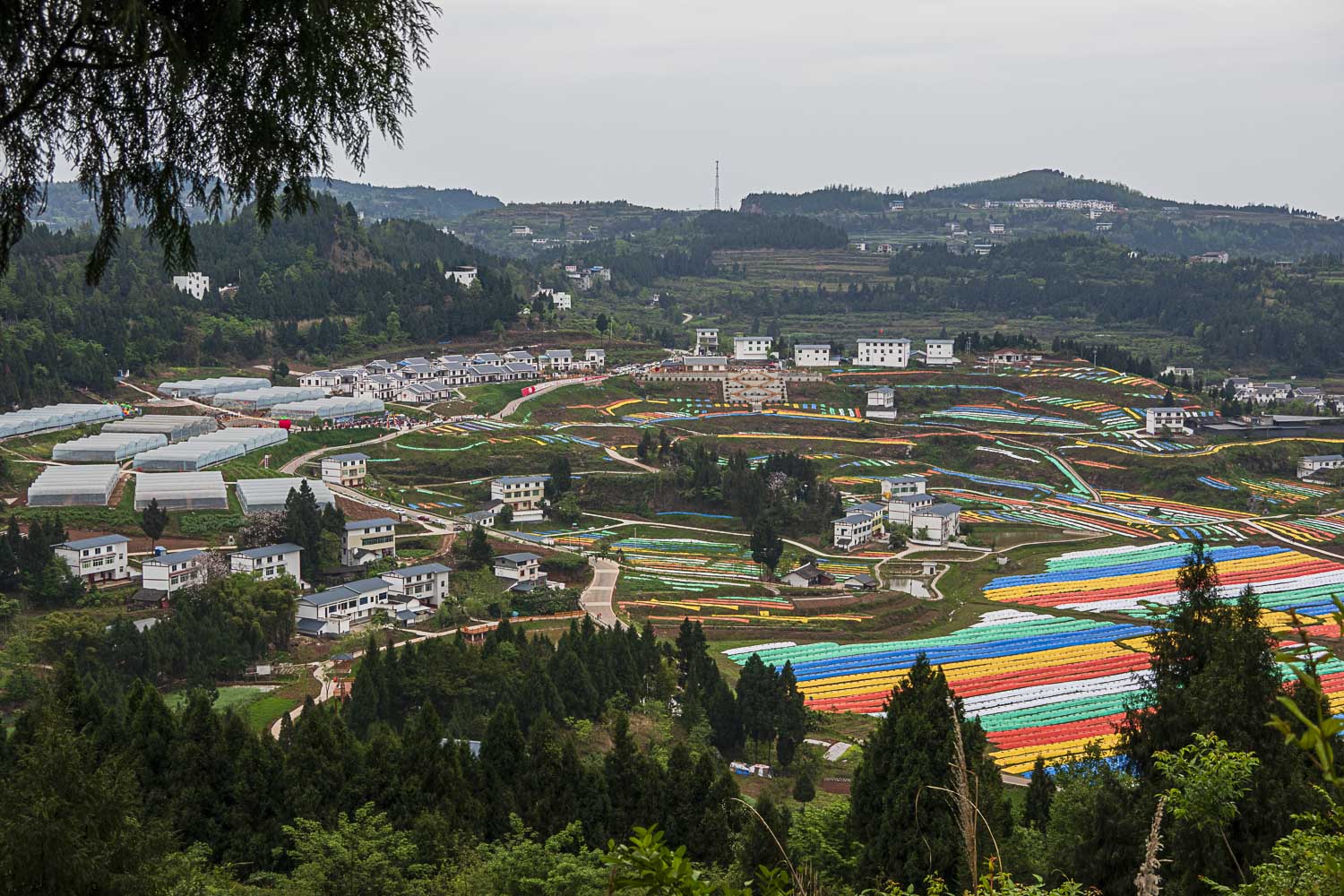 去安溪潮访友,经过隔壁仪陇县新政镇三条沟村