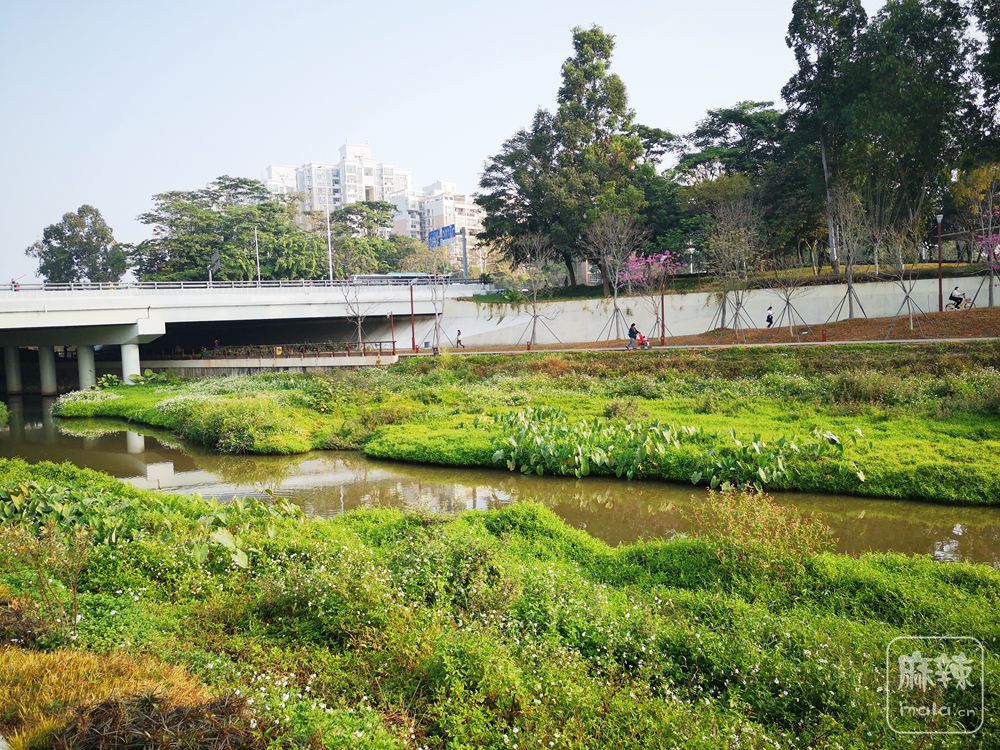 大沙河湿地长廊风光