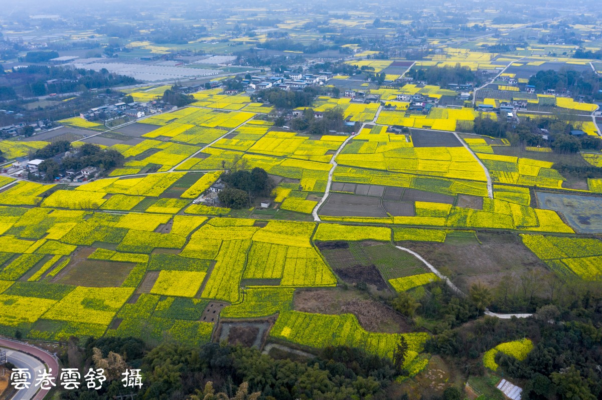 以上帝的视角赏春天都江堰锦绣大地已上麻辣首页