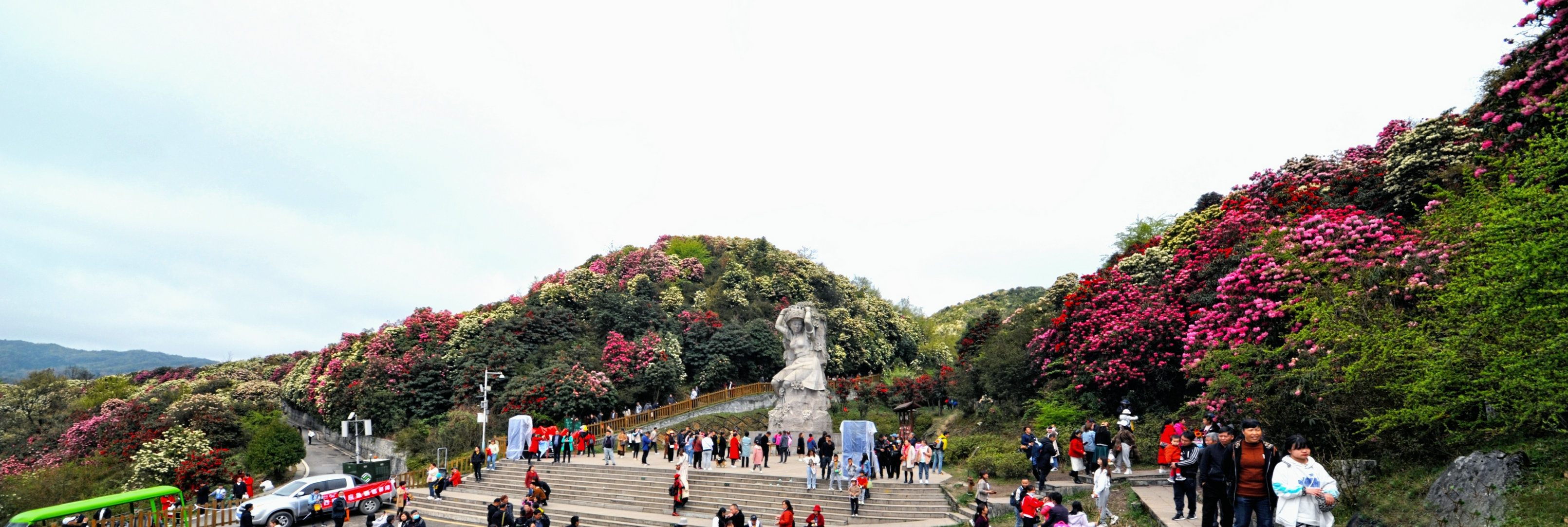 我之色236百里杜鹃2花坡景点1