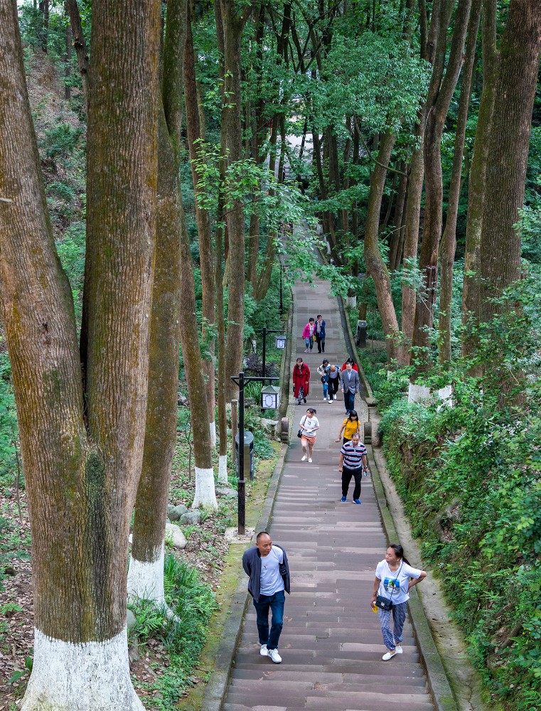 五一去白鹤山旅个游-邛崃论坛-麻辣社区