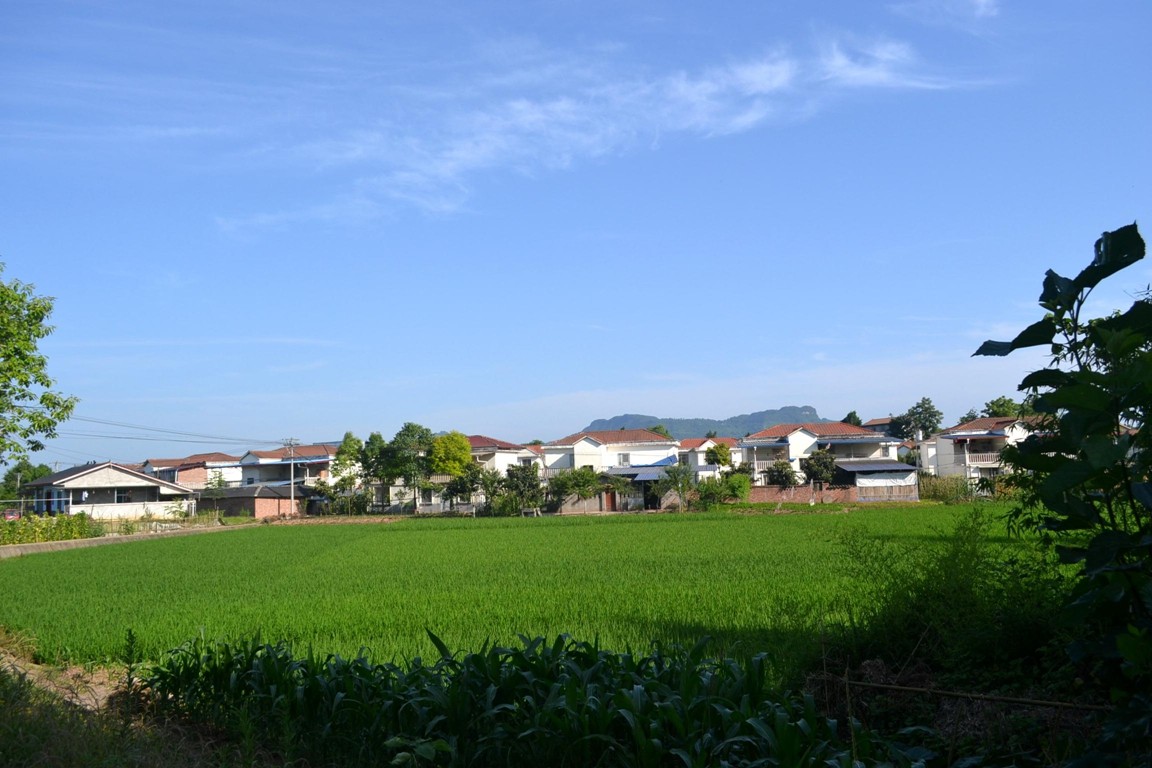 蓝天下的田园风光