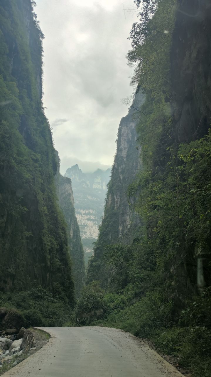 金口河大瓦山风光