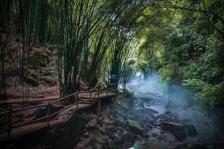 在线观光直播学习天府川西竹海景区迎来一批特殊游客