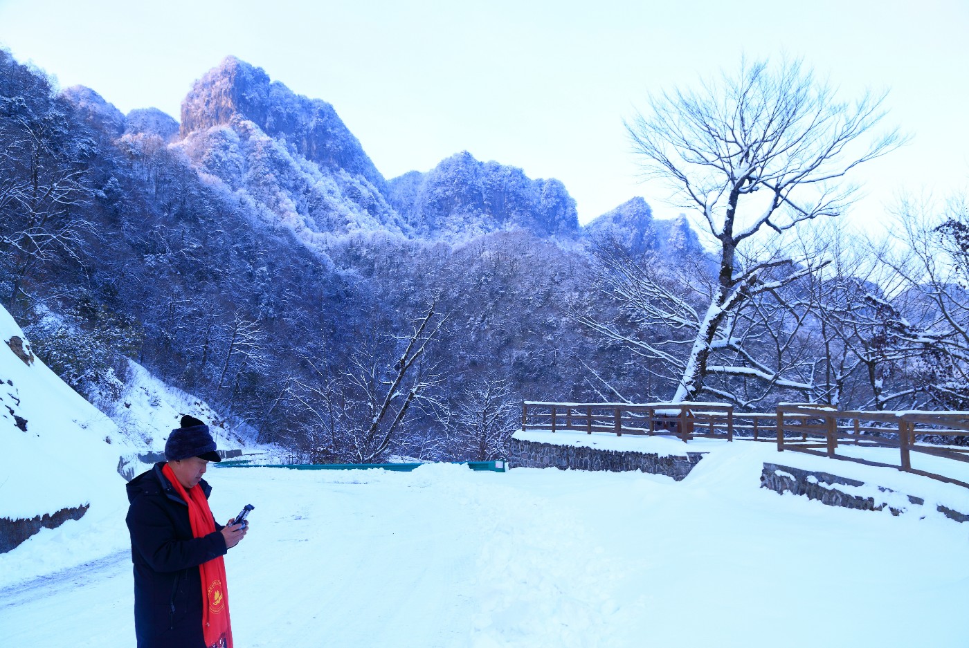 昨天米仓山森林公园的春天冬景