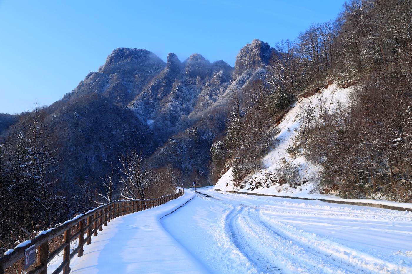 昨天米仓山森林公园的春天冬景