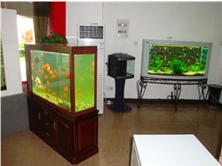 20085201346484822[1].jpg