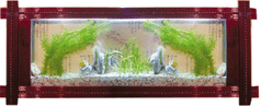 IMAGE033.GIF