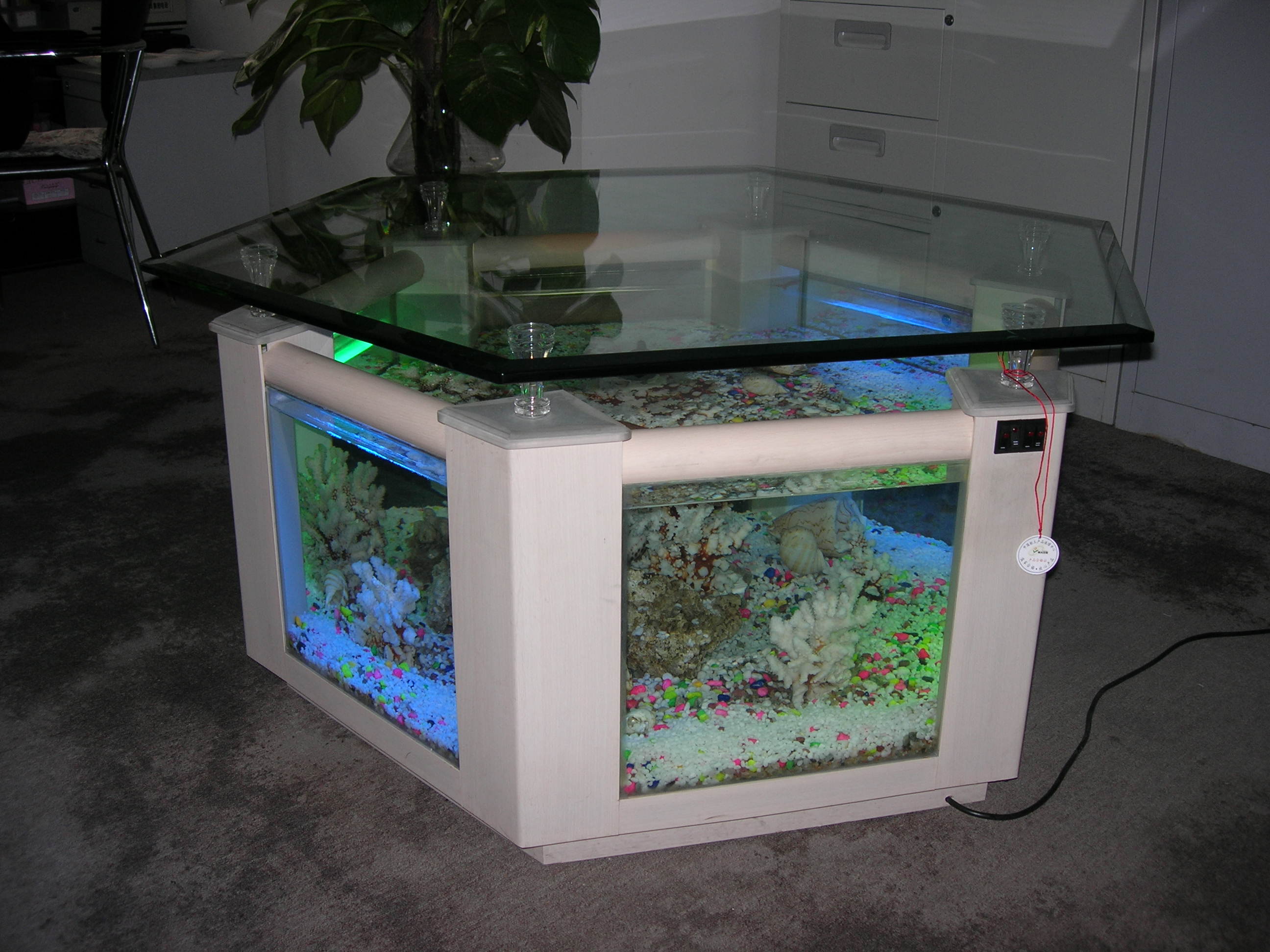 DSCN3890.JPG