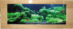image034.gif