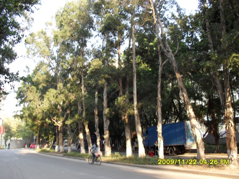 SAM_0335_conew1.jpg