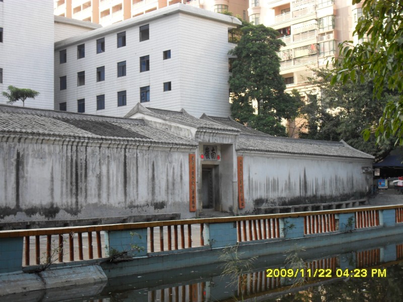 SAM_0333_conew1.jpg