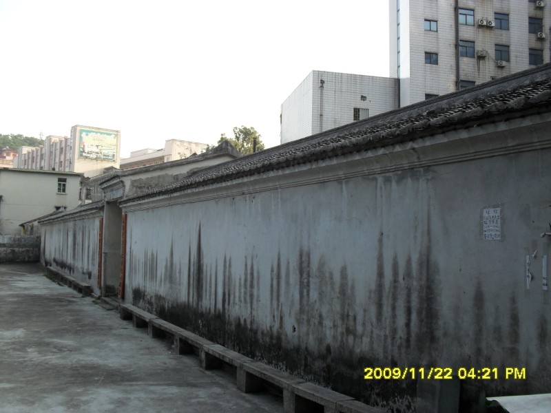SAM_0331_conew1.jpg