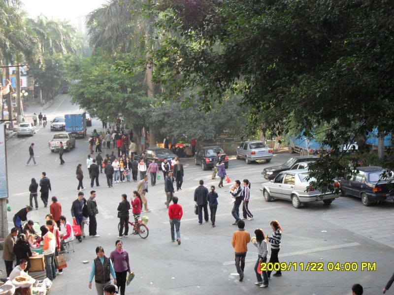SAM_0329_conew1.jpg