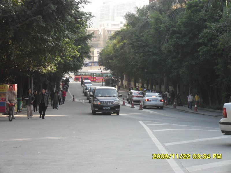 SAM_0323_conew1.jpg