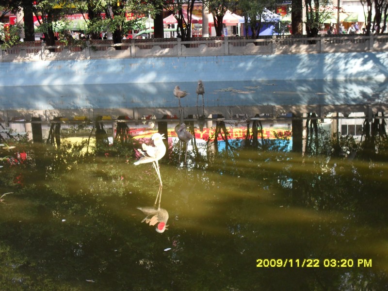 SAM_0307_conew1.jpg