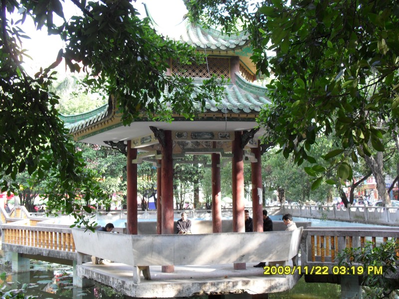 SAM_0306_conew1.jpg