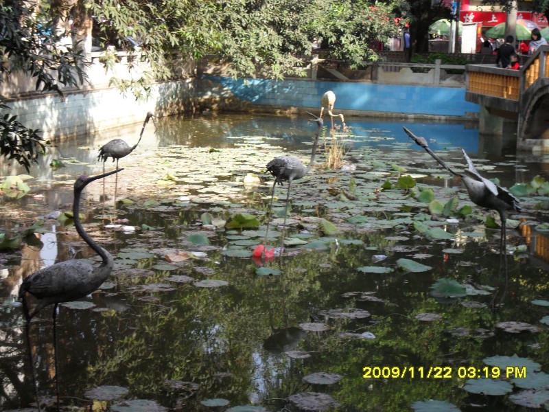 SAM_0305_conew1.jpg