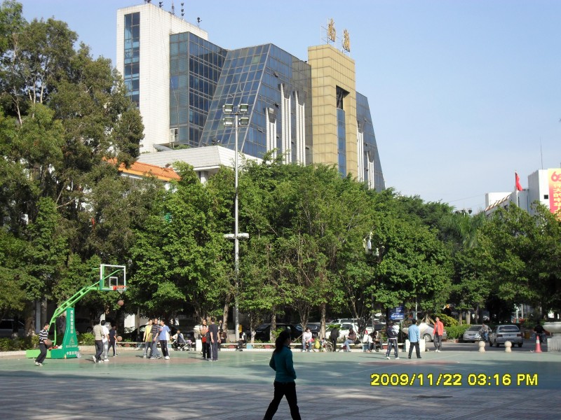 SAM_0304_conew1.jpg