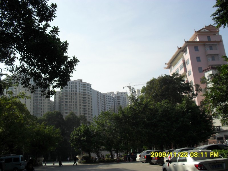 SAM_0300_conew1.jpg