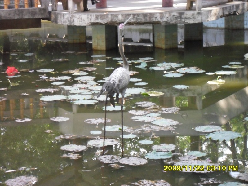 SAM_0298_conew1.jpg