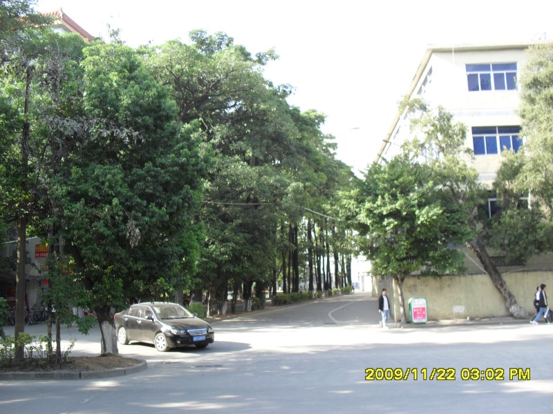 SAM_0292_conew1.jpg