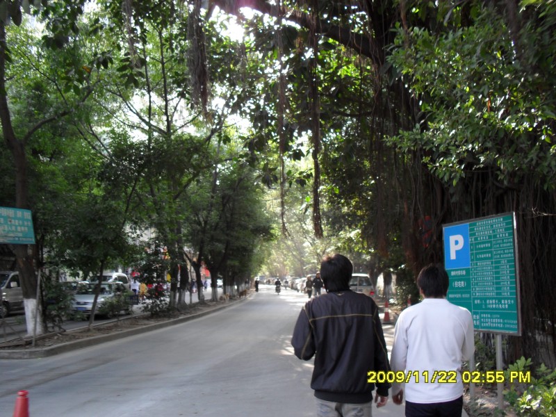 SAM_0289_conew1.jpg
