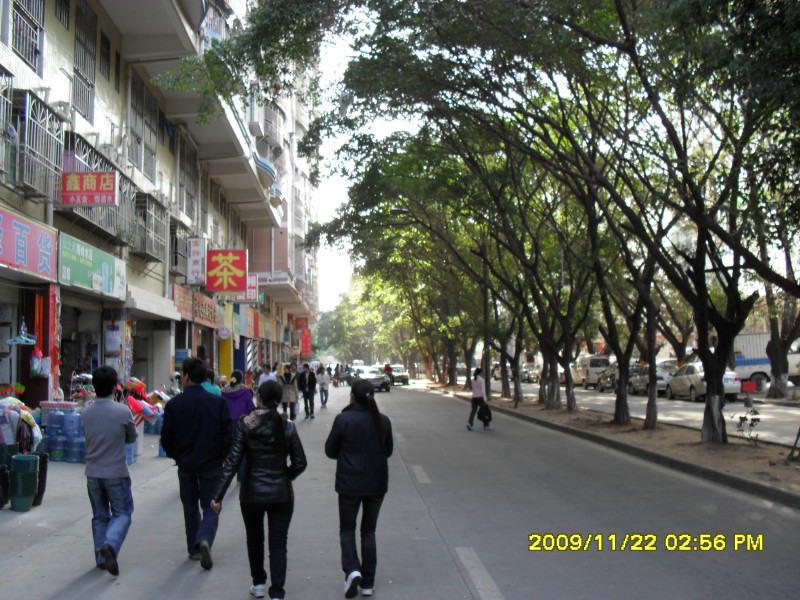 SAM_0291_conew1.jpg