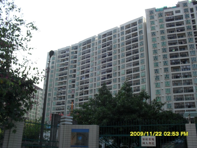 SAM_0288_conew1.jpg